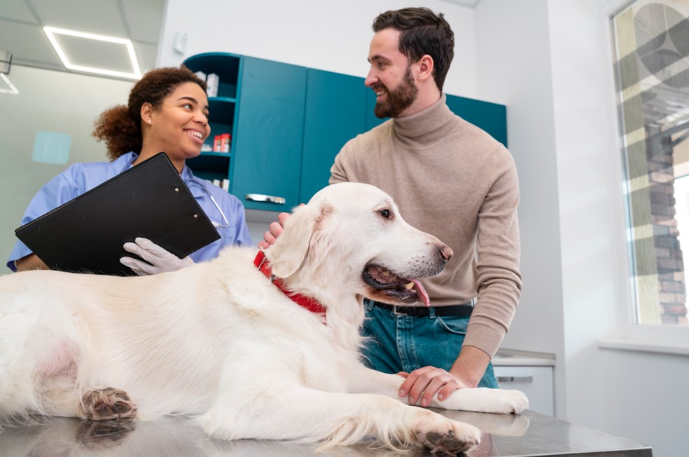 Popular Pet — Foto: Popular Pet