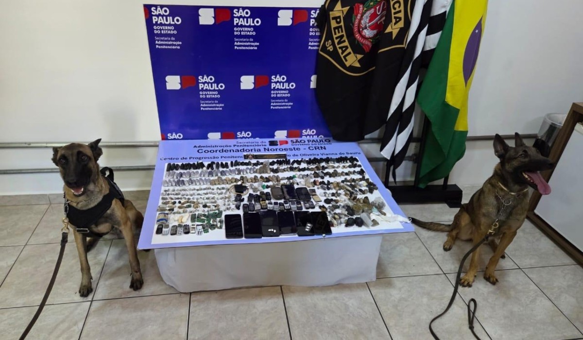 Cães farejadores auxiliam apreensão de drogas e celulares em Bauru