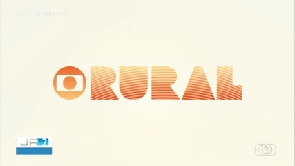 Veja os destaques do Globo Rural deste domingo (2)