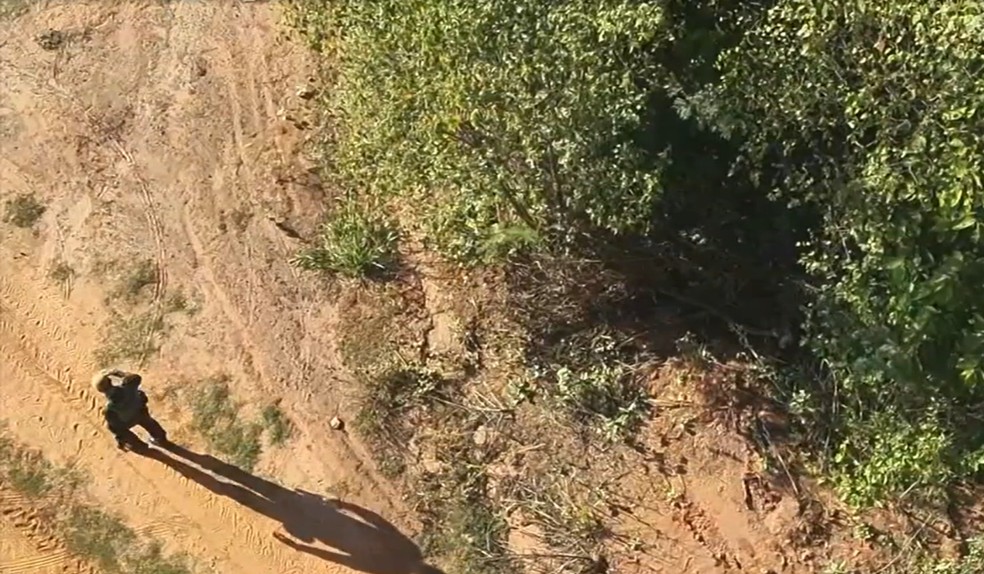 Com uso de satélites e drones térmicos, Polícia Ambiental monitora alta de até 40% nas queimadas no Noroeste Paulista — Foto: TV TEM/Reprodução