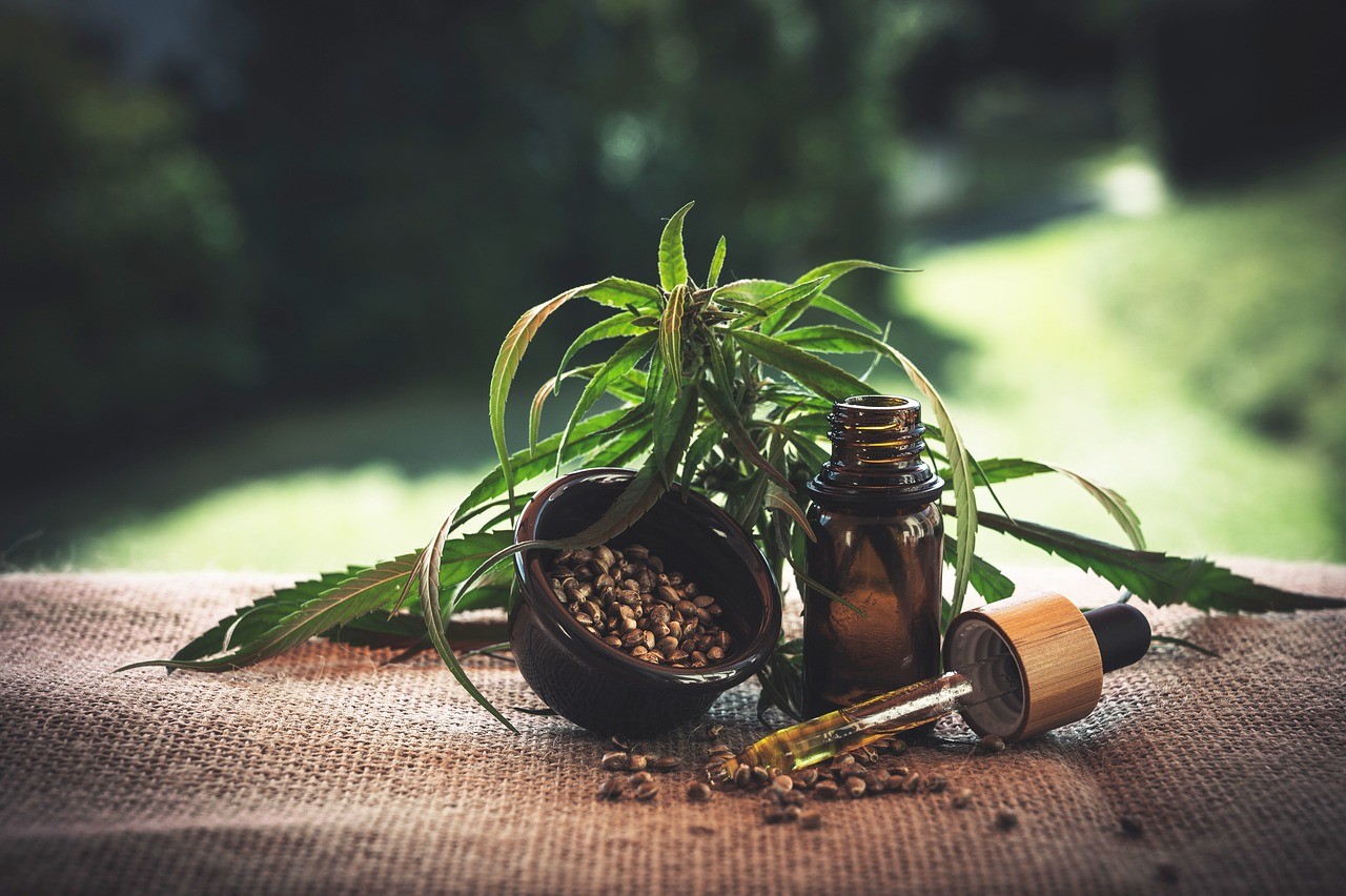 Médicos prescritores de maconha medicinal são processados e enfrentam insegurança jurídica