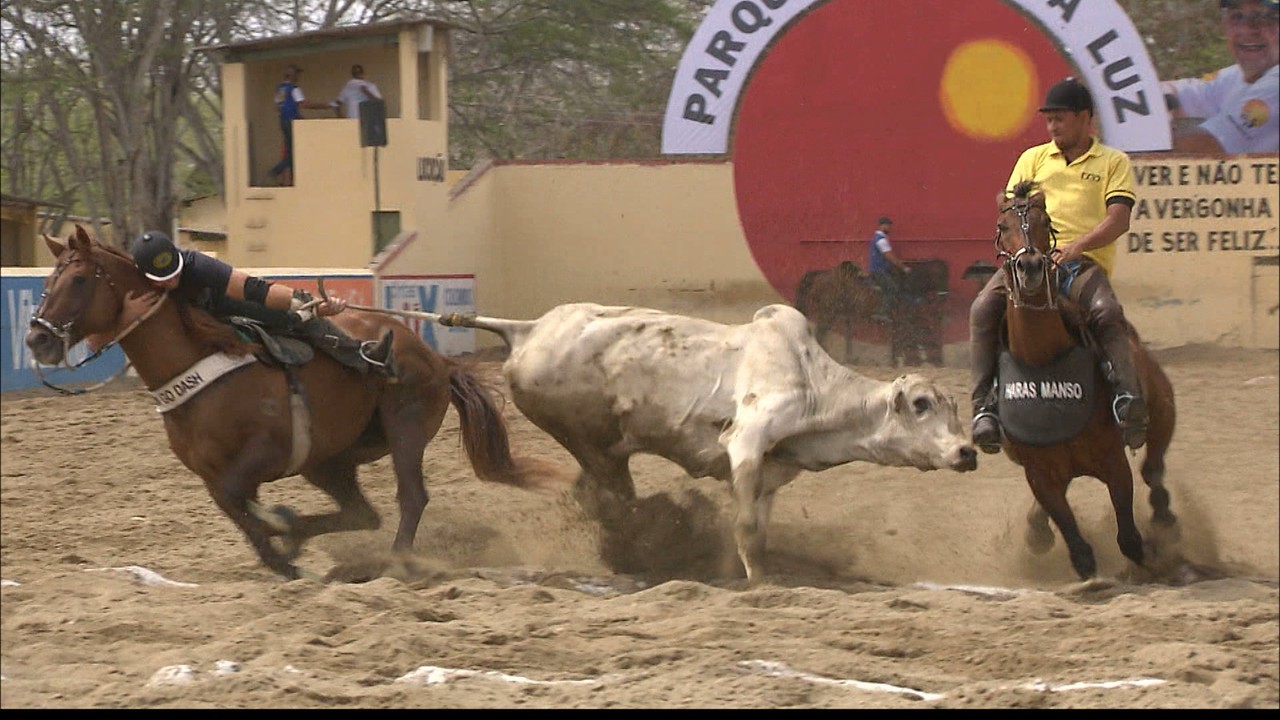 Maioria do STF vota para validar mudança na Constituição que viabilizou prática da vaquejada