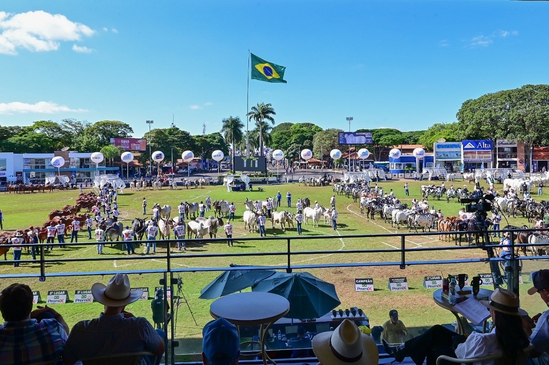 91ª ExpoZebu: quase mil animais já estão no Parque Fernando Costa