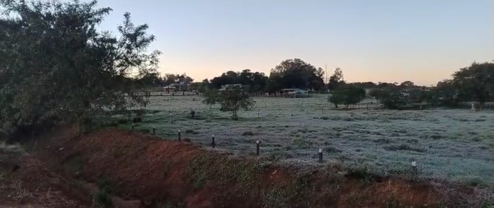 Com sensação térmica de -4,7ºC, geada é registrada pelo segundo dia consecutivo em MS