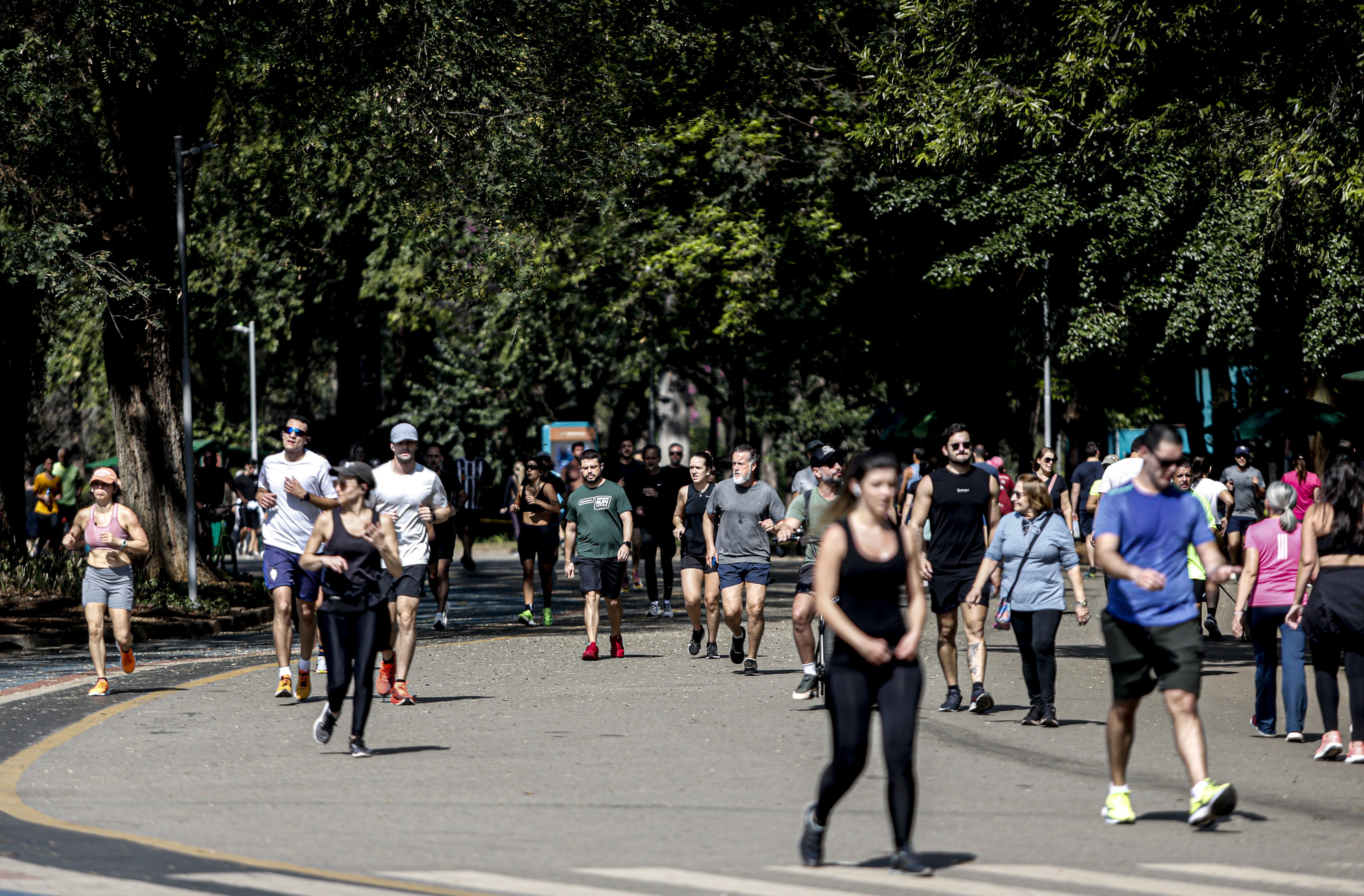 Ipsos: 45% dizem que crime e violência são as principais preocupações dos brasileiros