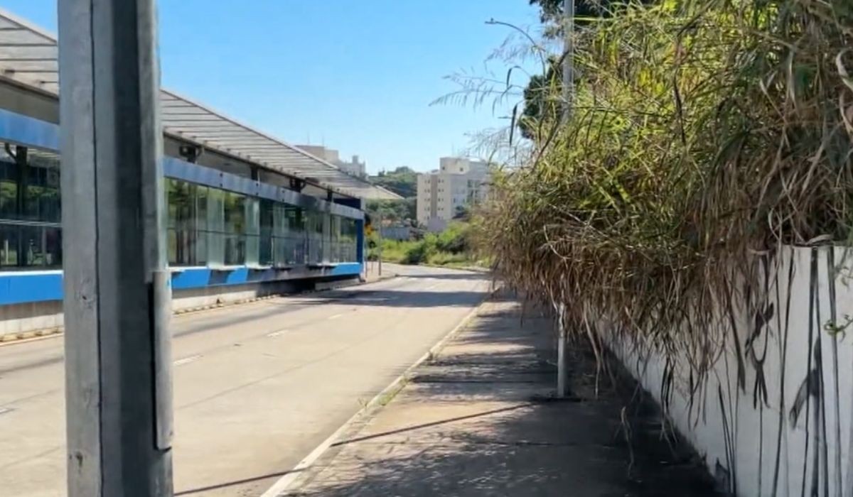 Promessa de rapidez, BRT de Campinas completa 1 ano com queixas, mato alto e atrasos