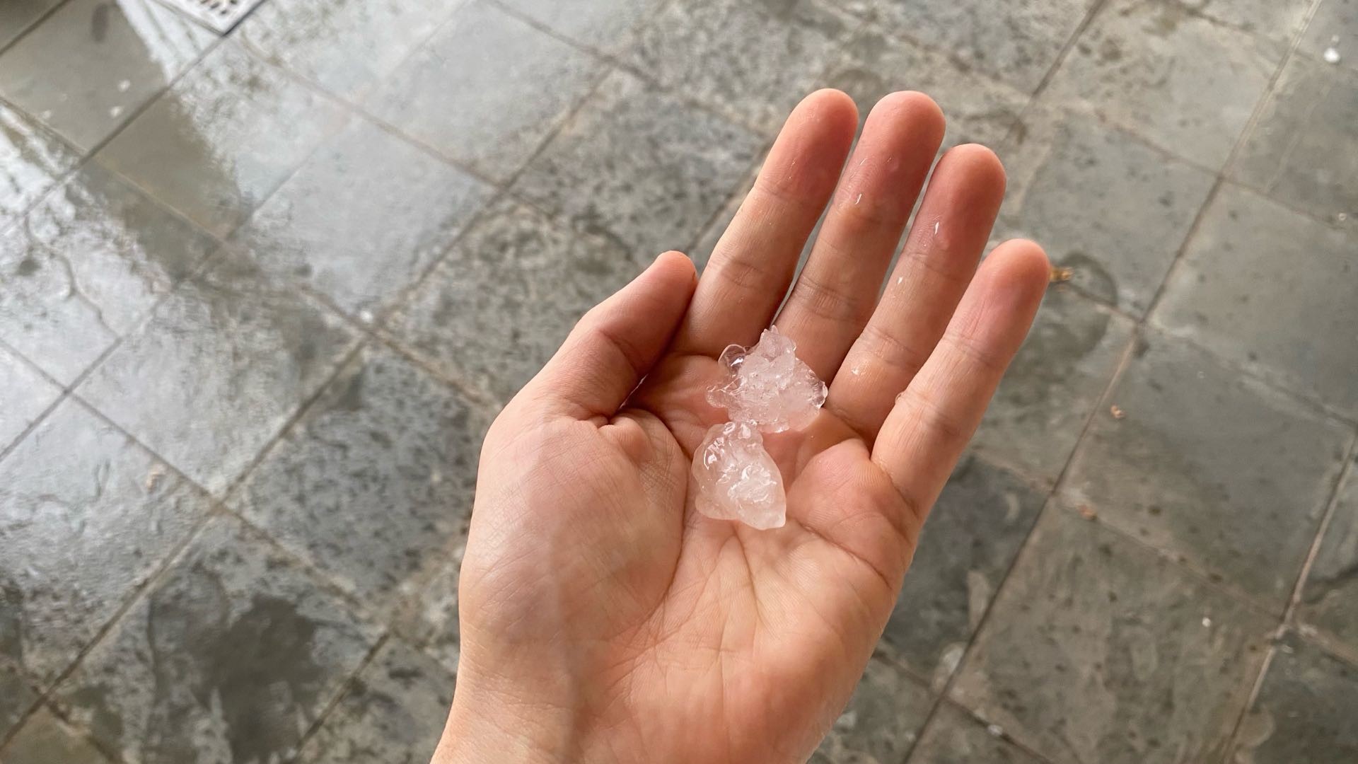 Cidades do Vale do Paraíba registram queda de árvore, chuva de granizo e alagamento após temporal