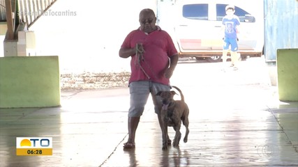 Campanha de vacinação contra a raiva em Palmas pretende vacinar 28 mil animais