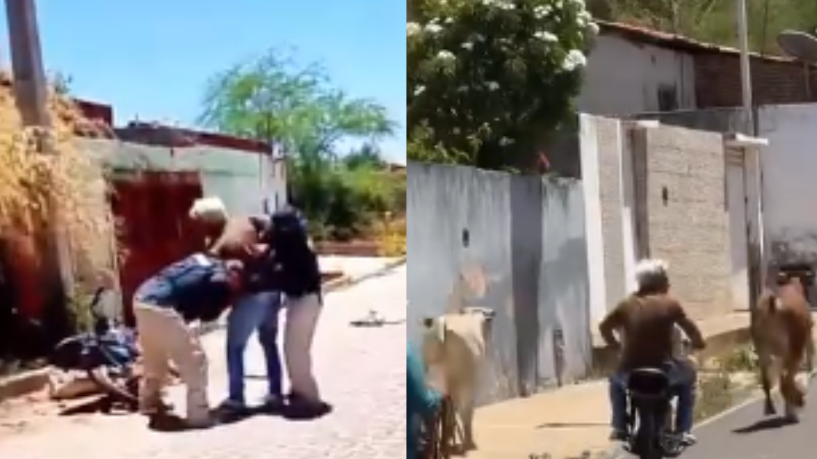 Ex-vereador avança de moto contra policiais para tentar impedir apreensão de animais e é preso no PI