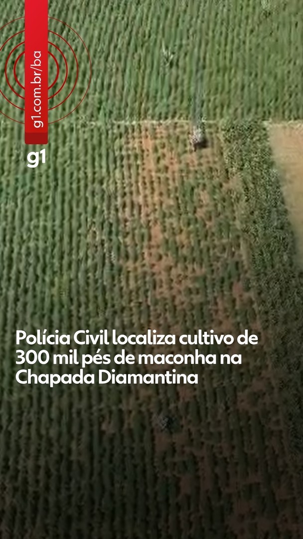 Vídeos do g1 e TV Bahia - Quinta-feira, 30 de abril de 2026