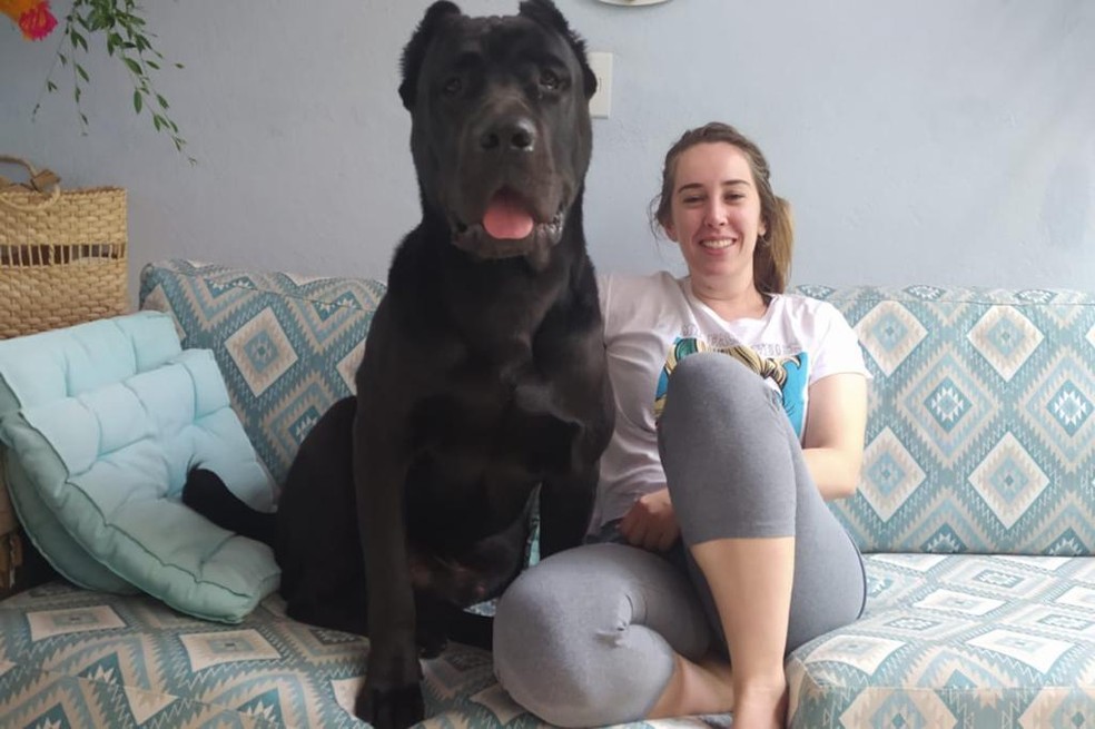 Cão desaparece após ser deixado em hotel para pets em Jundiaí:  'Desesperados', diz tutora, Sorocaba e Jundiaí