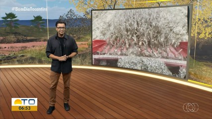 Veja os principais destaques do Jornal do Campo deste domingo (21)