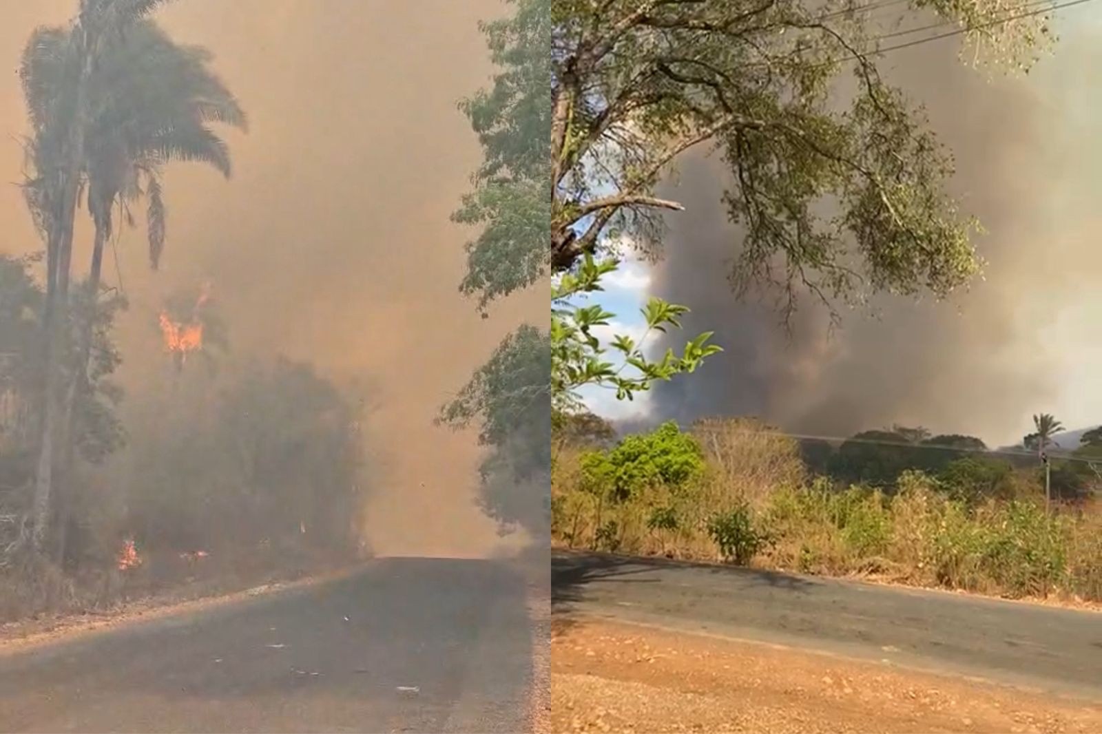 Vídeo: incêndios atingem vegetação e se aproximam de casas no Piauí