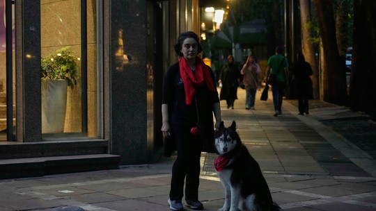 Irã amplia proibição de passeios com cães em público em várias cidades