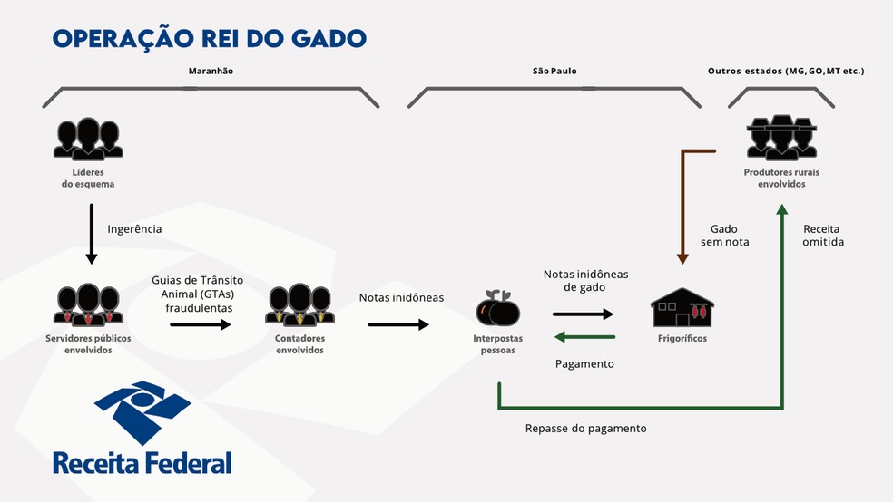 Como funcionava o esquema de sonegação de impostos na venda de gado, segundo a Receita Federal — Foto: Divulgação/Receita Federal