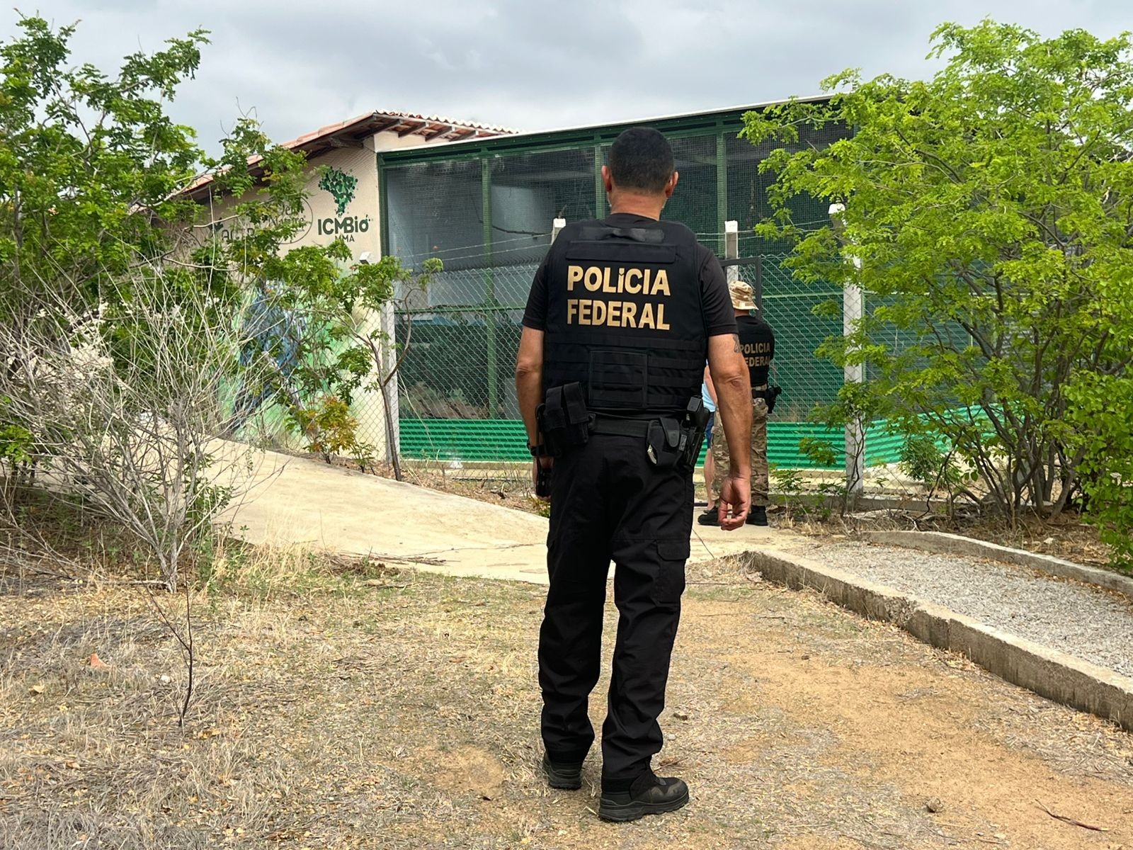 Polícia Federal cumpre mandados de busca e apreensão para investigar vírus letal em ararinhas-azuis na Bahia