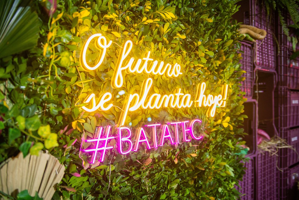Batatec começa nesta quinta-feira (24), em Presidente Prudente (SP) — Foto: Cedida