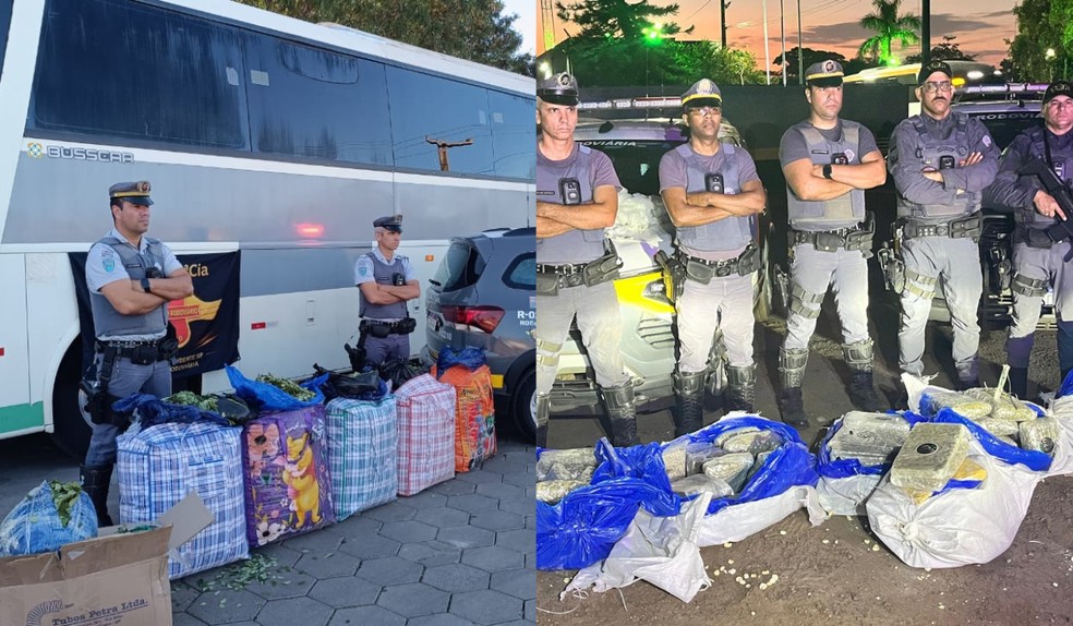 Quase 1,7 tonelada de folhas de coca é apreendida em sete ocorrências no Oeste Paulista — Foto: Polícia Militar Rodoviária/Divulgação