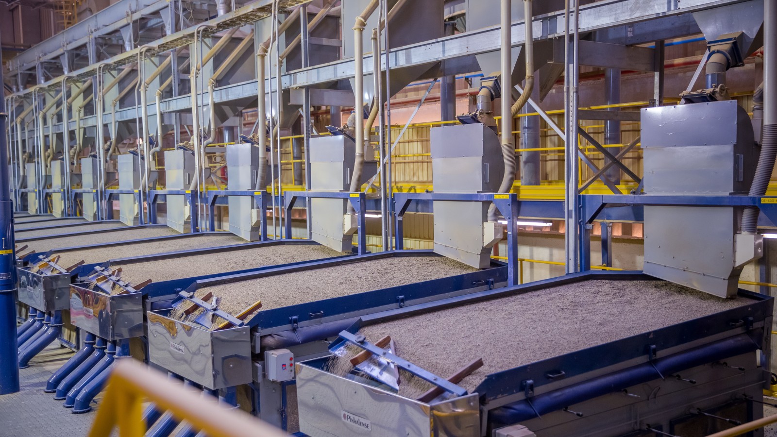 Tarifaço, safra com menor rendimento e clima marcam mercado de café em 2025