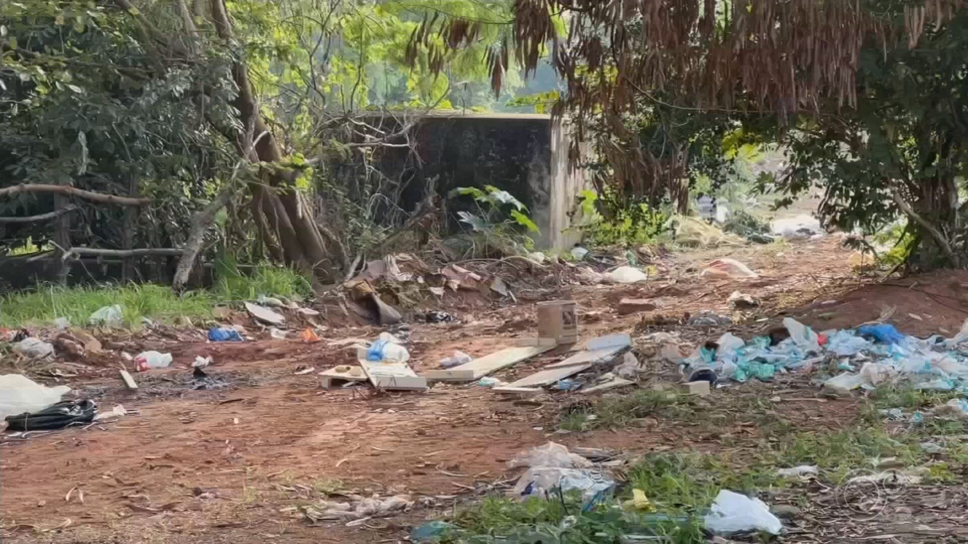 Lixões a céu aberto se espalham por bairros de Rio Preto com descarte irregular de lixo: 'Falta de respeito', diz moradora
