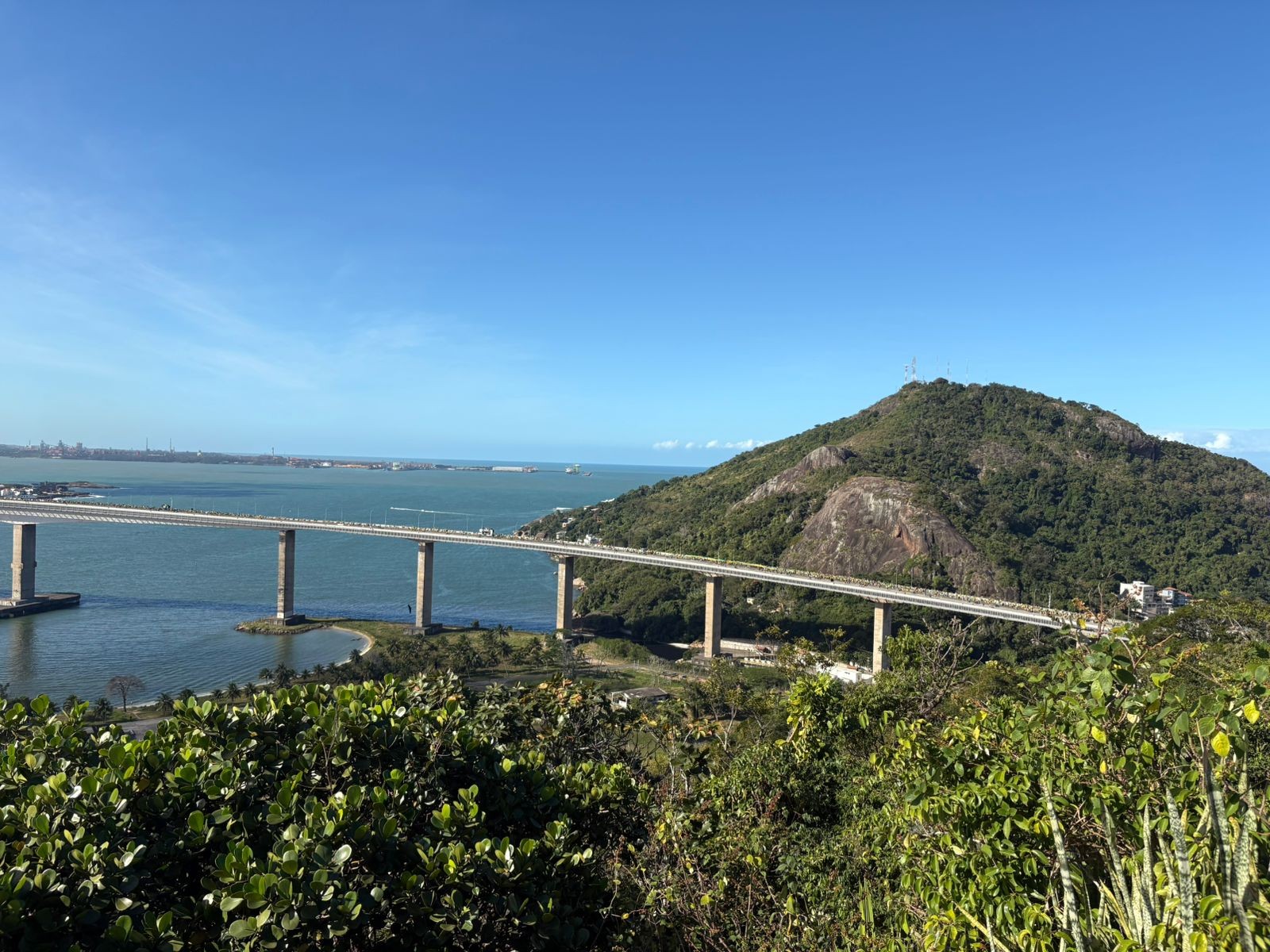 Manifestantes fazem ato a favor de Bolsonaro e atravessam a Terceira Ponte