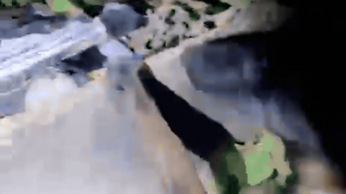 VÍDEO: Cães farejadores encontram drogas escondidas entre entulhos e PM descobre ‘loja do tráfico’ em MG