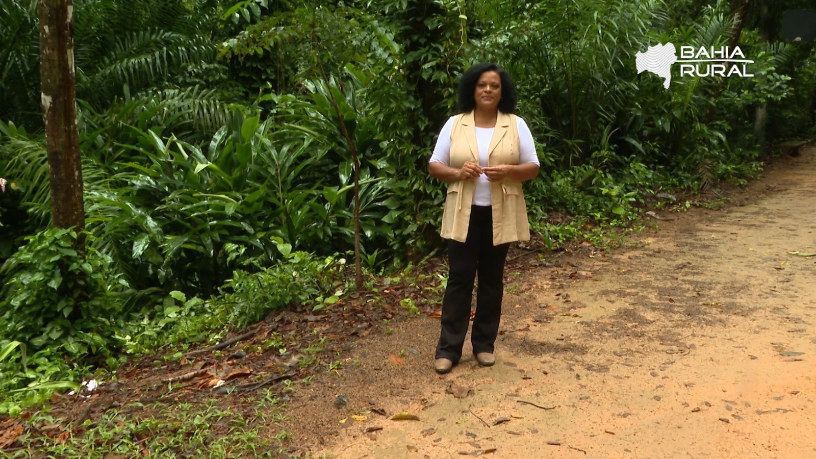 Vídeos do g1 e TV Bahia – domingo, 23 de novembro de 2025