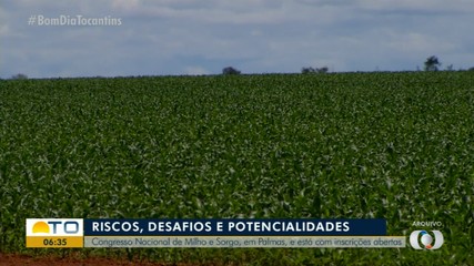 Congresso Nacional de Milho está com inscrições abertas