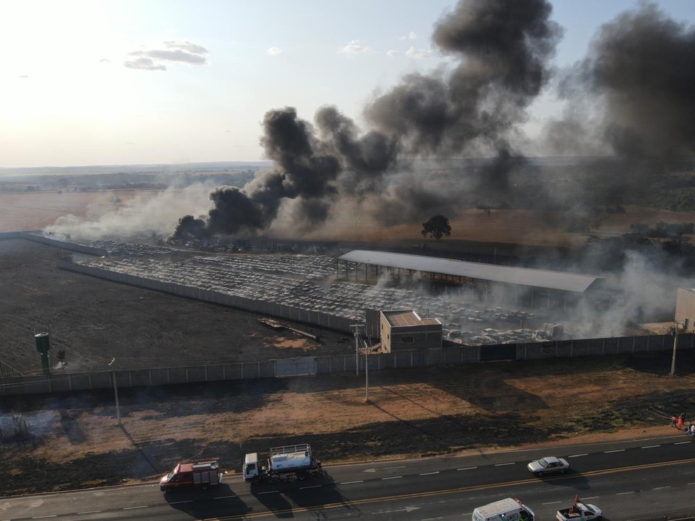 Uberaba: Incêndio invade pátio de veículos apreendidos em MG e destrói 300 carros