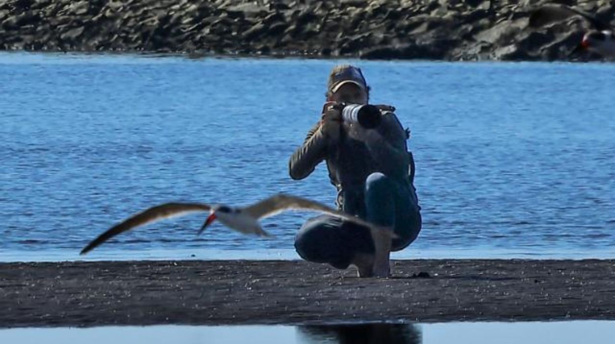 Guia ganha fama de 'menino da saracura' por relação com ave discreta em Ilhabela (SP)