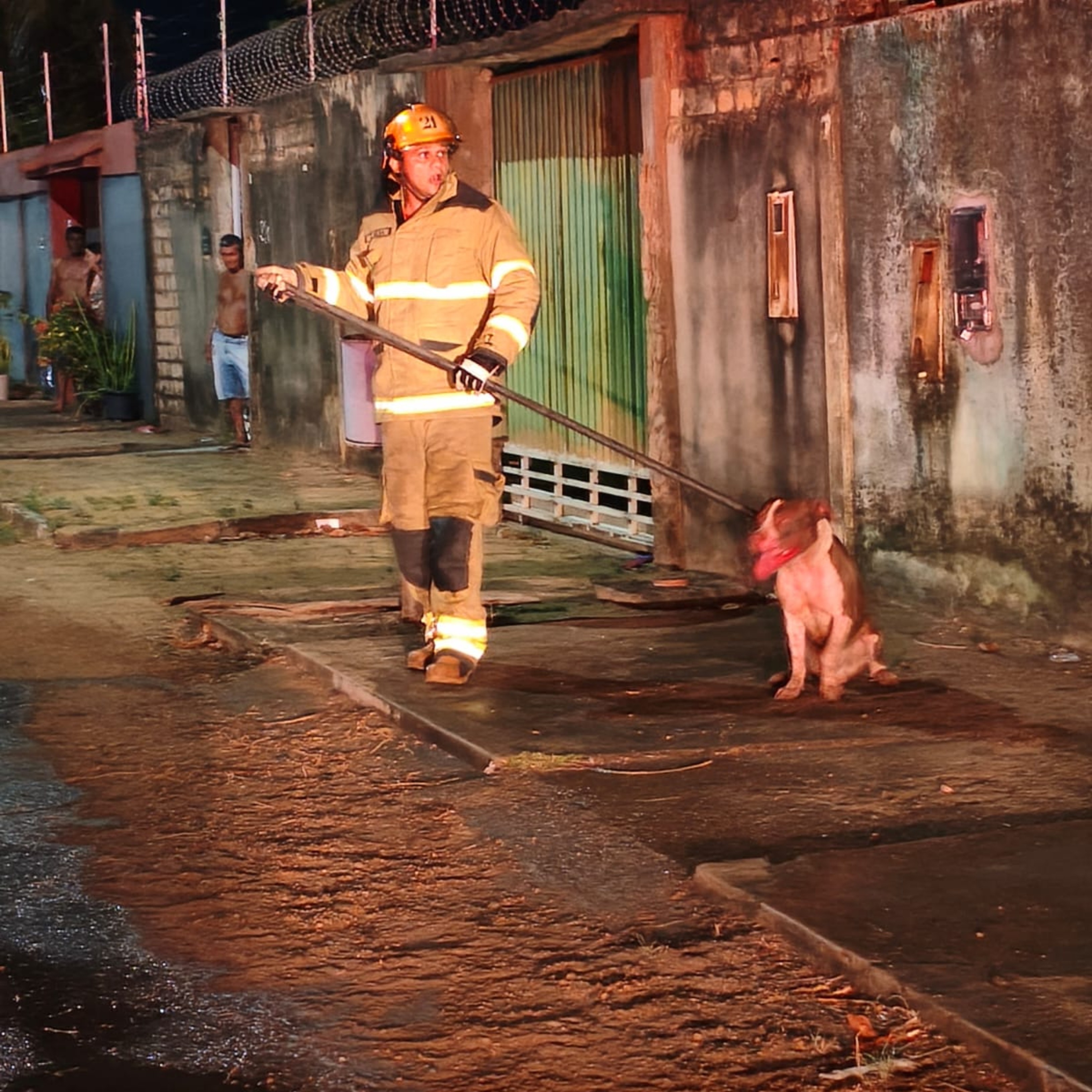 Duas mulheres ficam feridas após ataques de pitbulls em Boa Vista