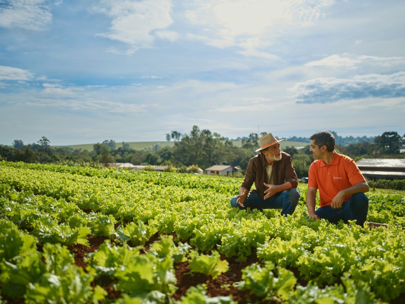 Nova campanha da Cresol destaca ciclos do agro e resultado que vai além do campo