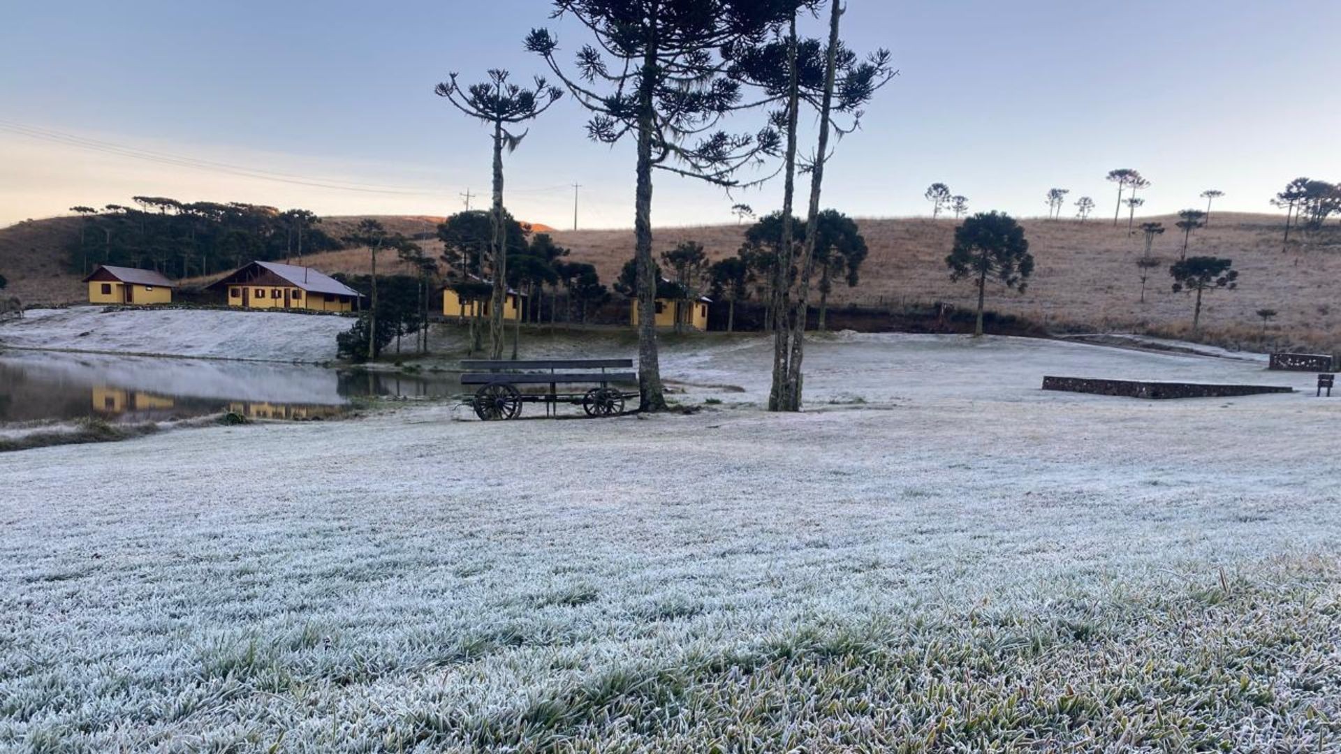 RS tem 4º dia consecutivo de mínimas negativas e geada; veja onde foram as menores temperaturas