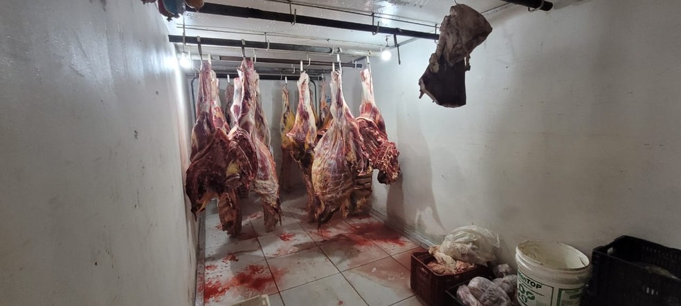 ZONA DA MATA: Abatedouro que vendia carne de cavalo para açougue é fechado  em Minas - Jornal Além Parahyba