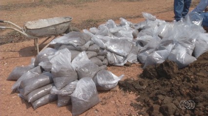 Novo tipo de adubo feito a partir do lodo de esgoto tratado começa a ser testado