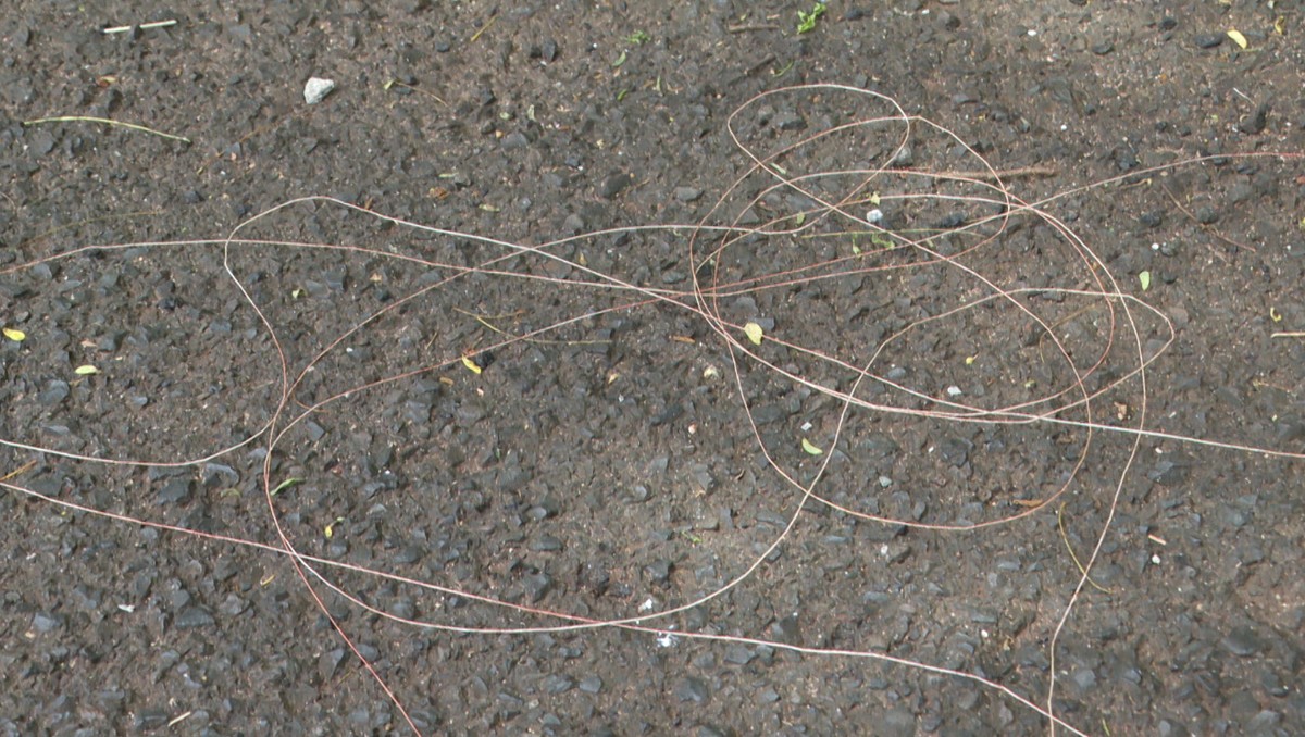 Motociclista morre ao ter pescoço cortado por linha de pipa com cerol ...