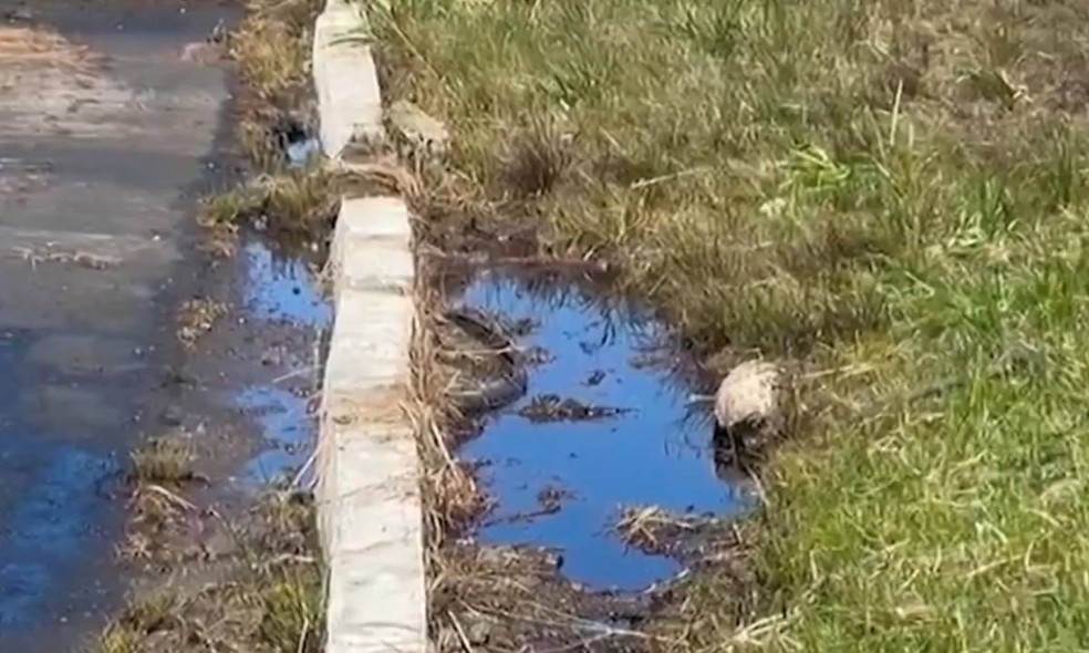 Carreta com combustíveis tomba e interdita trecho de rodovia há 20h na Bahia — Foto: Reprodução/TV Santa Cruz