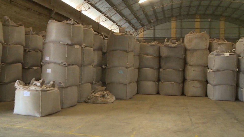 Sacas de café do Espírito Santo deixam de ser exportadas para os EUA com tarifaço do Trump — Foto: Reprodução/TV Gazeta