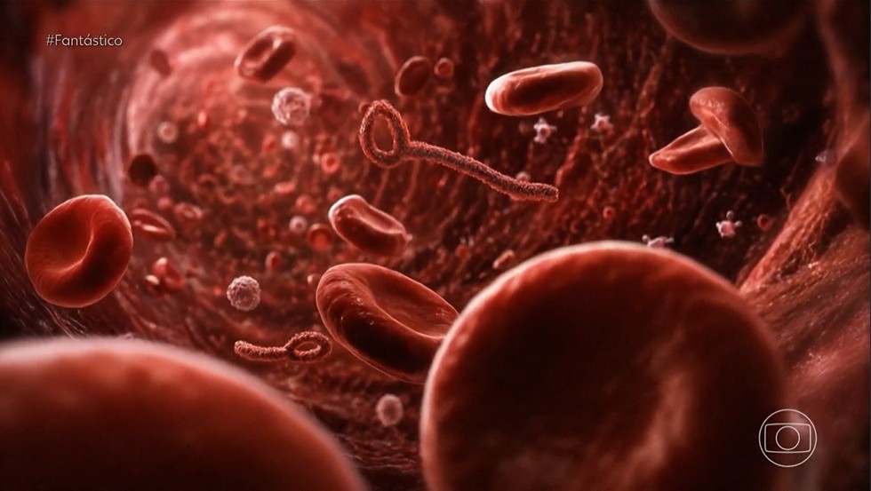 Ebola volta a assustar África em meio à guerra e à pobreza no Congo