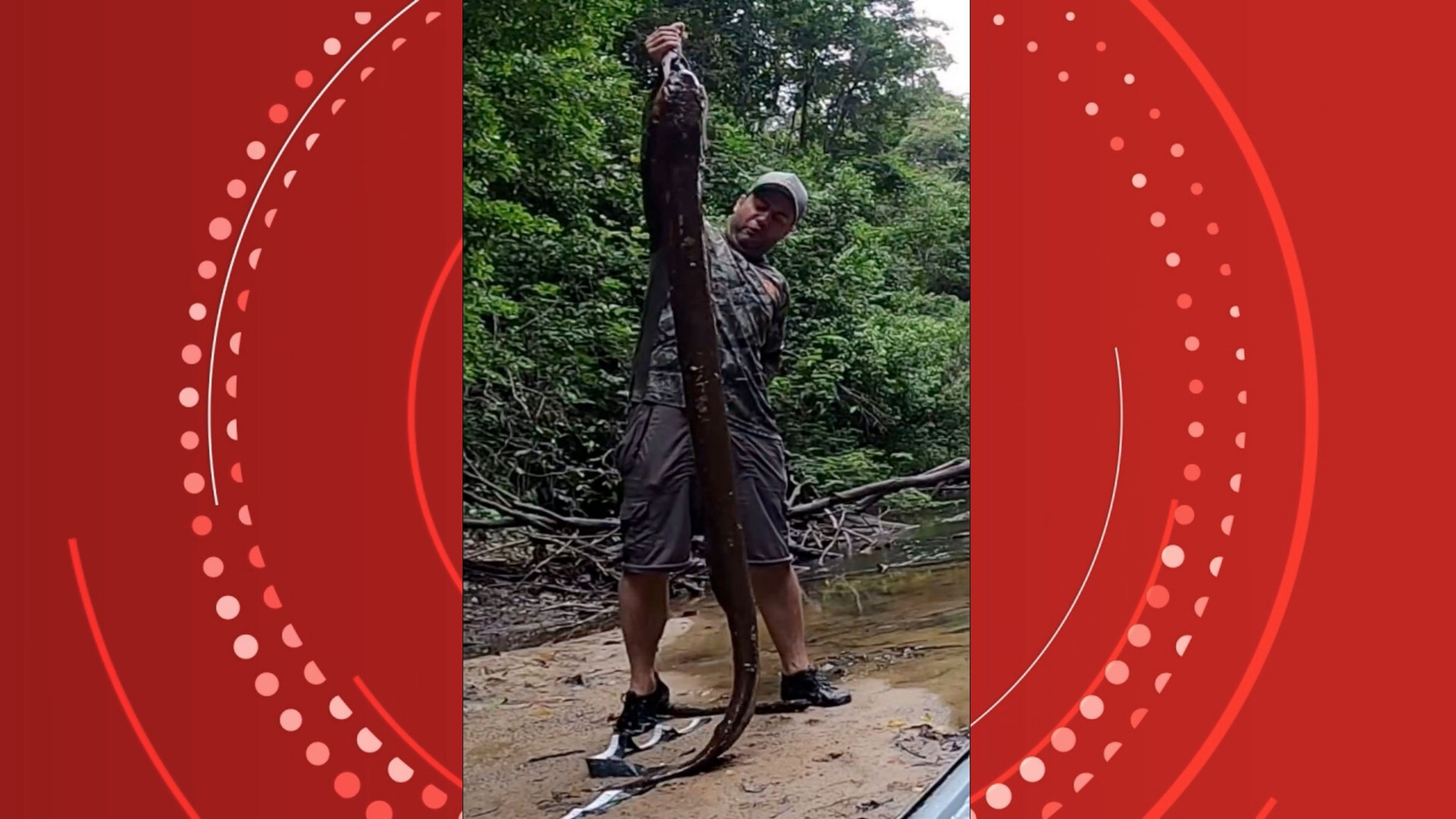 Pescador de Rondônia fisga peixe-elétrico de 2 metros, o maior já registrado no Brasil