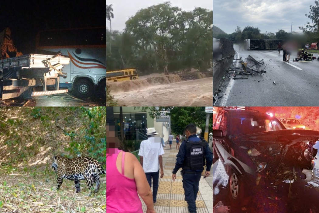 Top 10: veja as reportagens mais lidas de 2025 no g1 Sul do Rio e Costa Verde