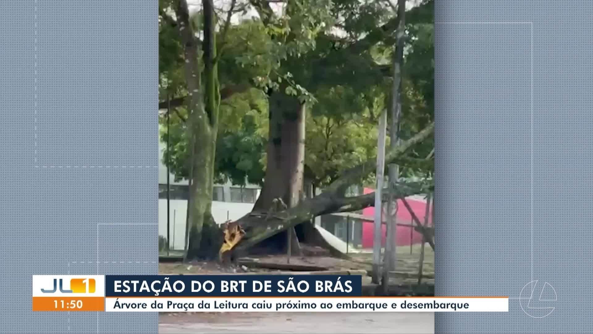 VÍDEOS: JL1 de terça-feira, 12 de maio de 2026
