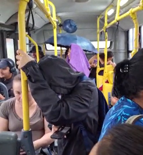 
VÍDEO: passageiro usa guarda-chuva para se proteger dentro de ônibus em Campinas: 'Tem condição um negócio desse?'