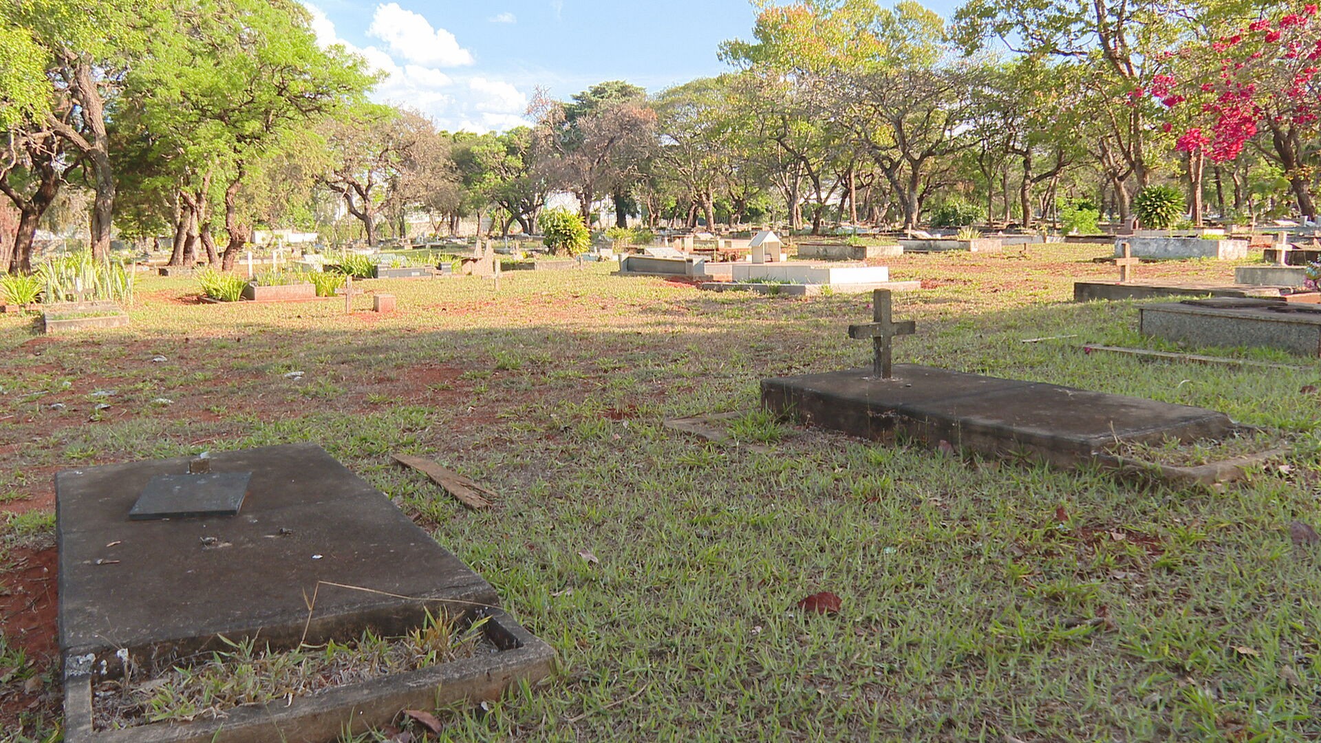 MP notifica administradora de cemitérios e propõe acordo para corrigir falhas em serviços no DF