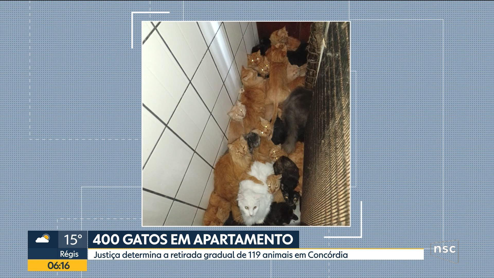 VÍDEOS: Bom Dia Santa Catarina de sexta-feira, 29 de maio de 2026