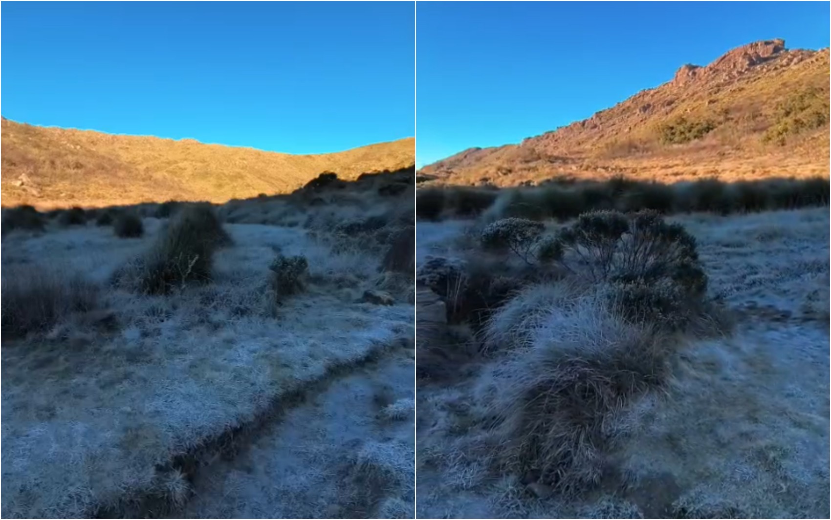 Sul de Minas volta a registrar geada; Parque Nacional do Itatiaia, em Itamonte, marca -11,5°C