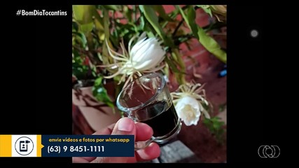 BDT destaca as mensagens enviadas pelos telespectadores