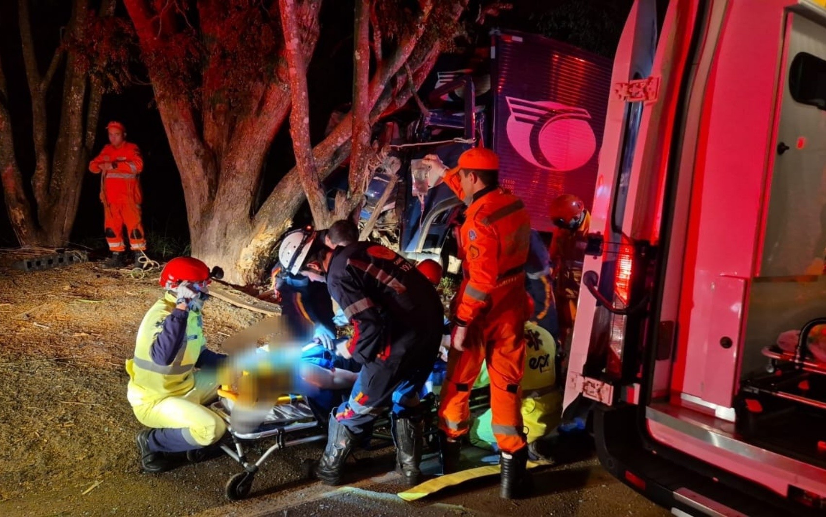 Caminhoneiro fica ferido após perder controle do veículo e bater contra árvore às margens da MGC-491, em Divisa Nova, MG