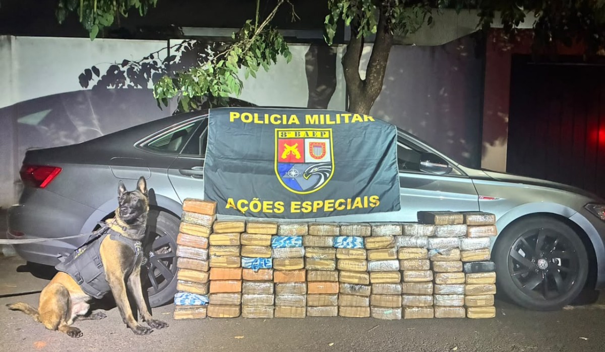 Quase 130 kg de maconha são apreendidos em carro à beira de rodovia no interior de SP