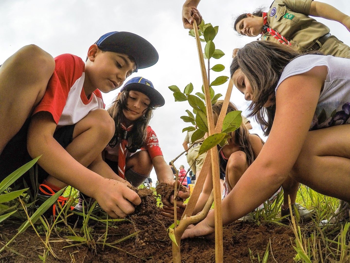 Fruto Urbano: projeto que cria pomares públicos para combater efeitos das mudanças climáticas completa 10 anos em Bauru